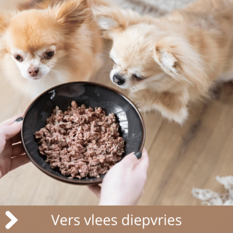 Vers diepvries vlees