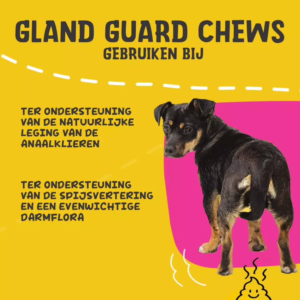 Hond en productinformatie op kleurrijke achtergrond