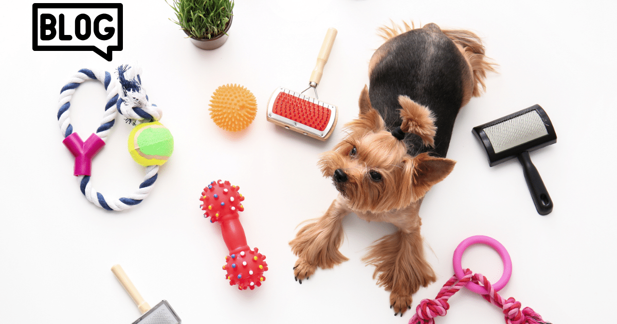 De Ultieme Gids voor het Kiezen van de Perfecte Huisdierenaccessoires bij MimiPets.nl